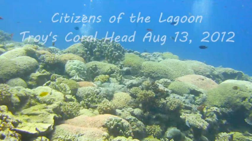 Citizens of Kwajalein Lagoon